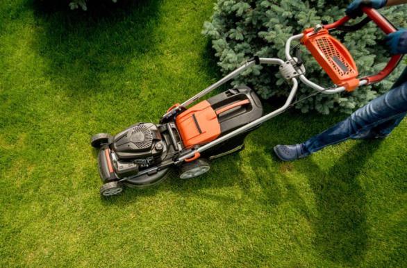 Home Gardening