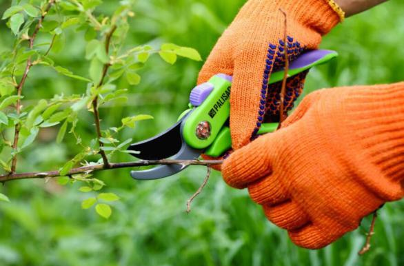 Green Technology